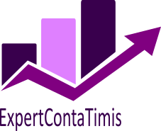 ExpertContaTimis Logo 201601171201